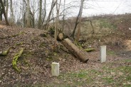 Park Ludowy nabiera blasku.