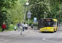 Autobus