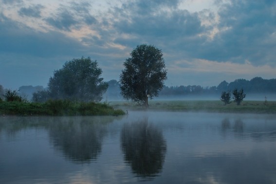 Przyroda Siemianowic Śląskich