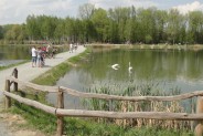 Ścieżki pieszo-rowerowe na "Rzęsie". Siemianowice Ślaskie.