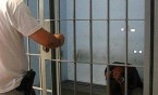 Wspiął się po elewacji