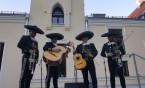 Miami Mariachi Loco