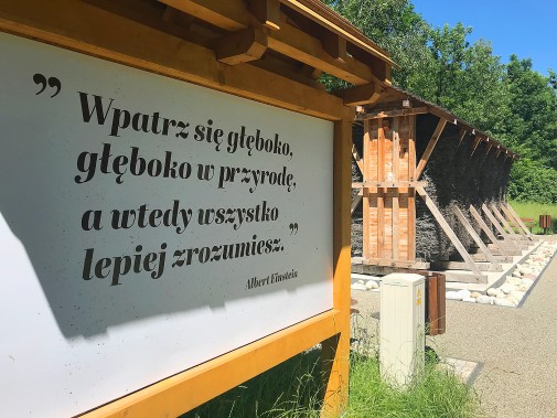 Tablica z sentencją Alberta Einsteina: "Wpatrz się głęboko, głęboko w przyrodę, a wtedy wszystko…