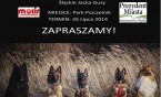 Zawody obedience