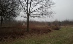 Free Park Time - start