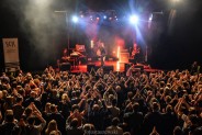 Organek na scenie