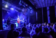 Organek na scenie