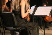 Koncert noworoczny, muzycy z orkiestry