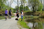 Staw RZĘSA