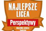 Brazowa tarcza dla Trzeciego Liceum Ogólnokształcącego w ZSTiO Meritum