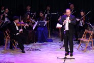 Koncert Noworoczny w Parku Tradycji