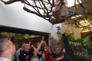 ZOO zdjęcie z leniwcem
