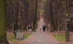 Rewitalizacja Lasku Bytkowskiego
