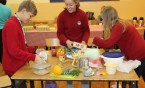 JUBILEUSZOWY MIĘDZYSZKOLNY FESTIWAL ZDROWIA