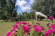 Polana dinozaurów
