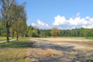 Linia brzegowa stawu Rzęsa