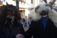 Festyn w Mohaczu. Meritum