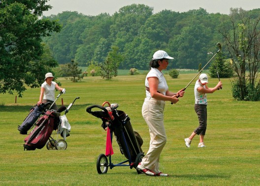 Pole golfowe (1)