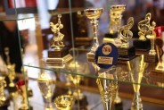 Trofea sekcji artystycznych SCK