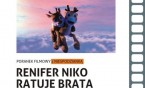 "Renifer Niko" w kinie Maks