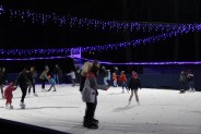 Lodowisko w Parku "Pszczelnik"
