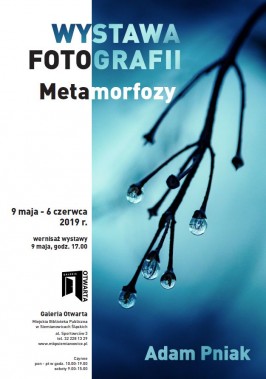 Adam Pniak "Metamorfozy" - plakat
