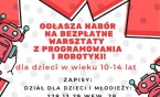 Zaprogramuj swojego robota!