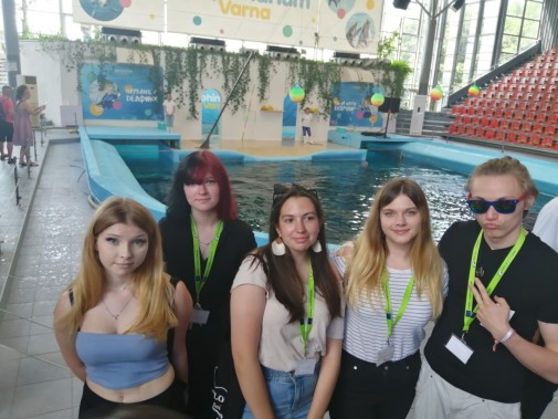 Delfinarium
