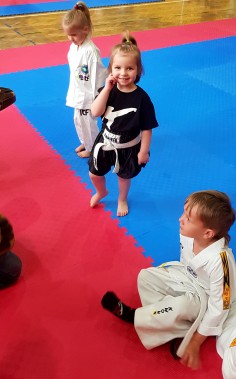 XIII Mistrzostwa w taekwondo o Puchar Wójta Gminy Marklowice.