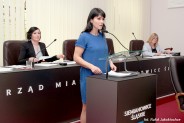 XX Sesja Rady Miasta Siemianowice Śląskie