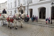 Przejażdżka bryczką