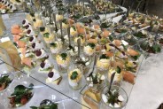 Catering Cogito