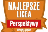 Brązowa Tarcza