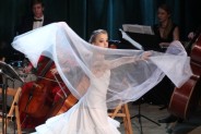 Koncert Noworoczny w Parku Tradycji