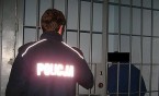 Odpowie za znieważenie policjantów