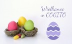Fajny i prosty przepis na babkę świąteczną - prezentuje i poleca COGITO
