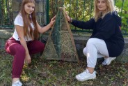 Hotelik dla owadów