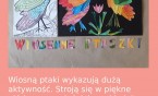Kolorowy ptak