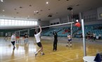 Walentynkowy Turniej Piłki Siatkowej Par