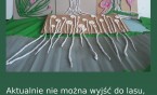 Stwórz w domu własny kawałek lasu