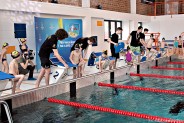 Uroczyste otwarcie wyremontowanego basenu sportowego w Zespole Szkół Sportowych w Siemianowicach…