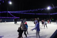 Lodowisko w Parku "Pszczelnik"