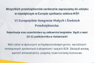 VI EKMŚP plakat