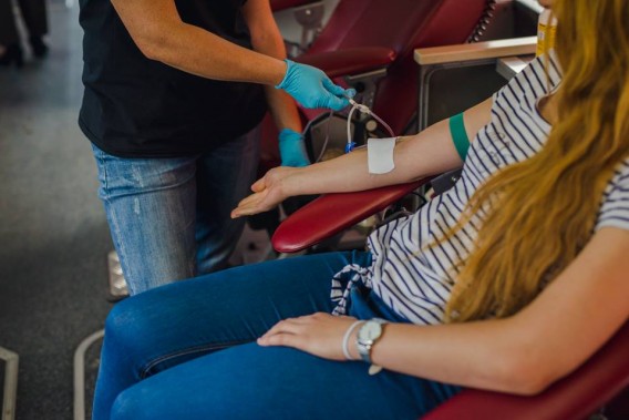 Czwarty Piknik Zdrowia w SCK Parku Tradycji