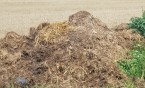 Tym razem za odór odpowiadają rolnicy