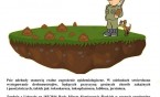 Porządek zamiast mandatu