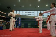 I Wielka Gala Sportów Walki & Sportów Siłowych w Siemianowicach Śląskich.