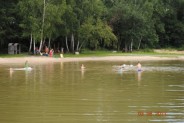 Staw Rzęsa latem