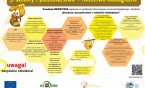 Pszczoły i pszczelarstwo = rolnictwo ekologiczne - bezpłatne szkolenia