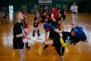 Pokazy Taekwondo zawodników SSW Striker